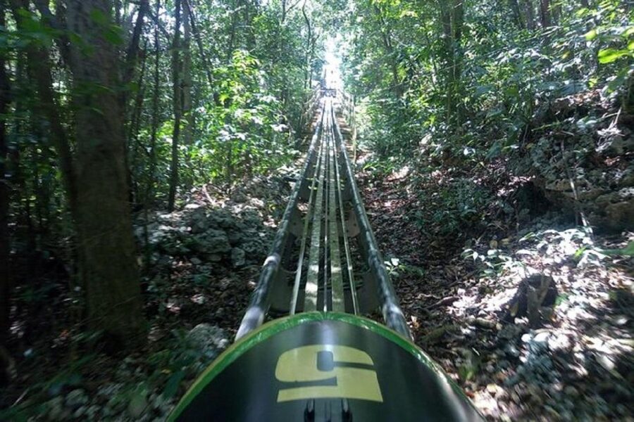 Rainforest Bobsled Mystic Mountain transportation - Price and Value: $208 Per Group, What That Means in Practice