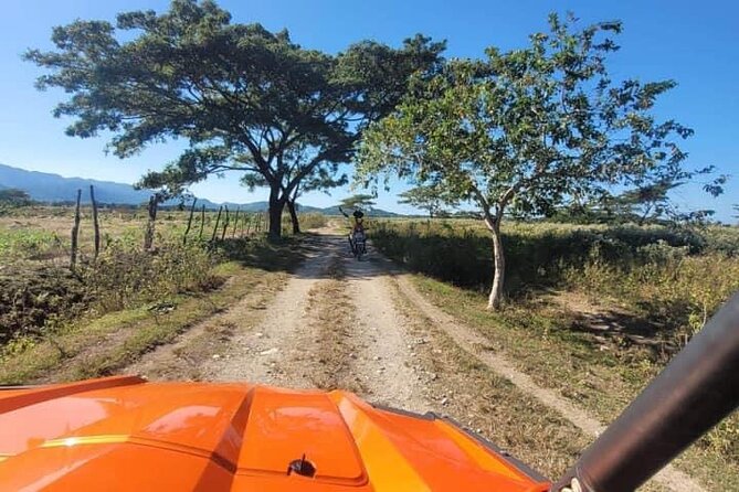 Rasta Safari Atv Experience and Rick's Cafe Private Tour - Ricks Cafe: Cliff Divers, Reggae, and Sunset Timing