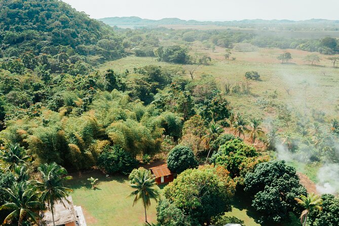 Rastafari Cultural ATV Community Experience from Montego Bay - The Countryside Ride You Cannot Recreate on Your Own