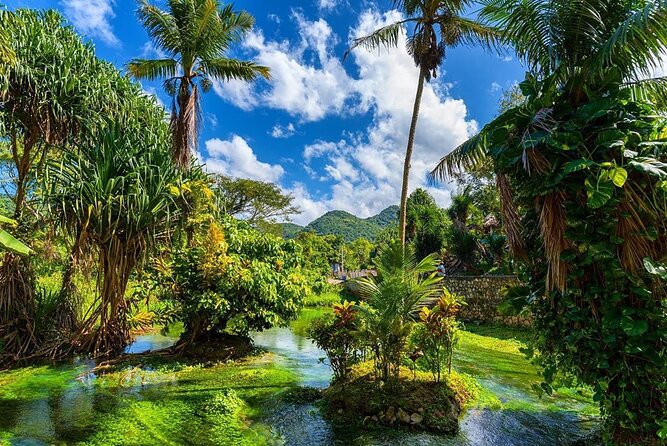 Rastafari Cultural ATV Community Experience from Montego Bay - Fruit Tasting Right Off the Trees