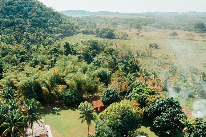 Rastafari Cultural ATV Community Experience from Negril - Price and value: what $164.59 really covers