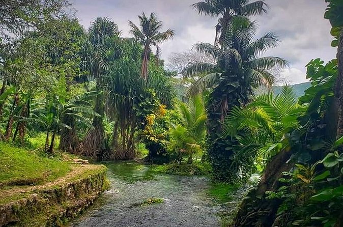Rastafari Cultural ATV Community Experience from Negril - ATV route through villages and rugged countryside