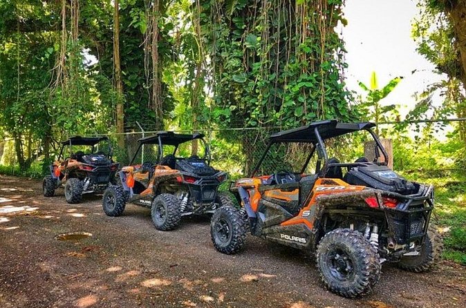 Rastafari Cultural ATV Community Experience from Negril - Swimming in the natural mineral pool, plus how to handle the mess