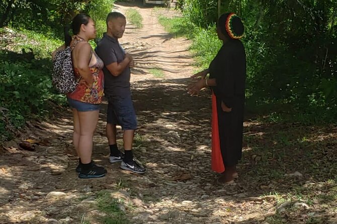 Rastafari Indigenous Village Tour - Weather, Timing, and How to Plan Your Day So It Feels Relaxed