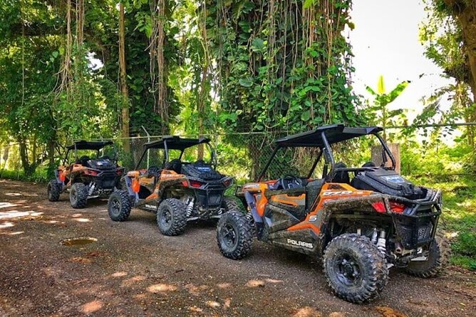 Rastasafari Experience ATV Adventure and Local Day Out - Why a Roaring River Rastafari ATV day feels different