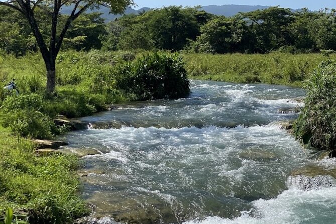 Rastasafari Experience ATV Adventure and Local Day Out - The Rastafari village welcome and cultural intro