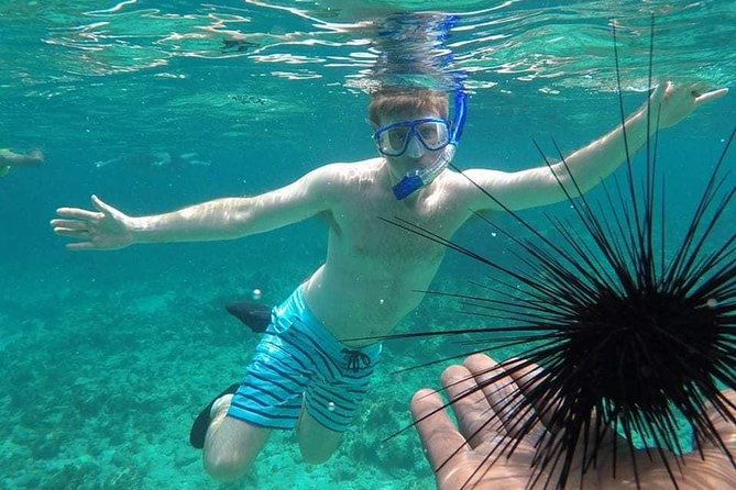 Rick's Cafe Sunset Cruise and Snorkelling - Why This Sunset Cruise Works So Well for Negril