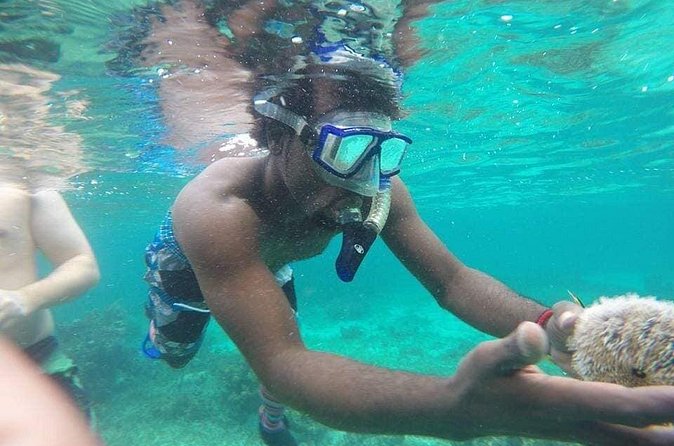 Rick's Cafe Sunset Cruise and Snorkelling - The “Small Group” Advantage: Why 25 Travelers Feels Different