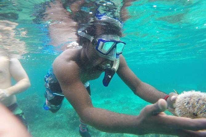 Rick's Cafe Sunset Cruise and Snorkelling - Value for Money: Is $90 Worth It?