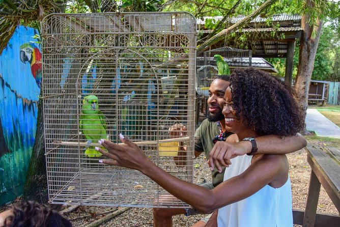 Rockland Bird Sanctuary plus Montego Bay Highlights & Shopping Private Tour - Key points before you go