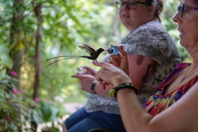 Rockland Bird Sanctuary Private Tour - Rocklands Bird Sanctuary: where feeding turns spotting into an experience