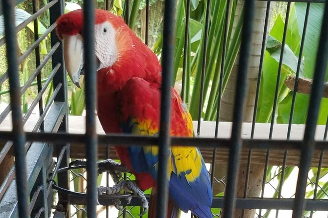 Rockland Bird Sanctuary Private Tour - What is included, and why that matters for value