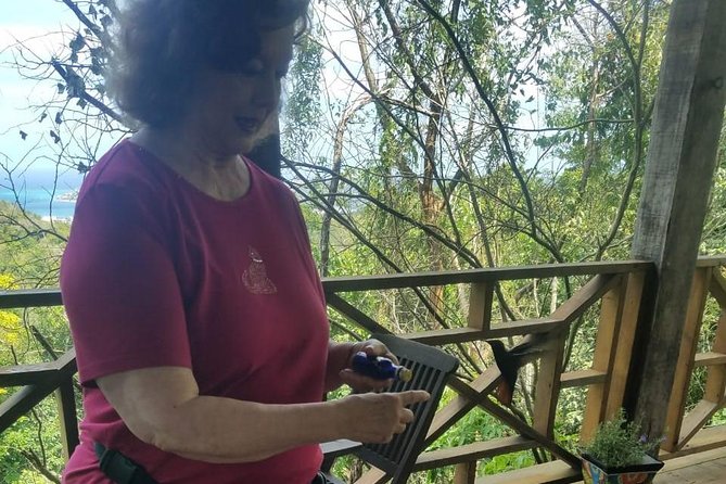 Rockland Bird Sanctuary Private Tour - Comfort notes: weather, clothing, and how to make the most of your hands-on time