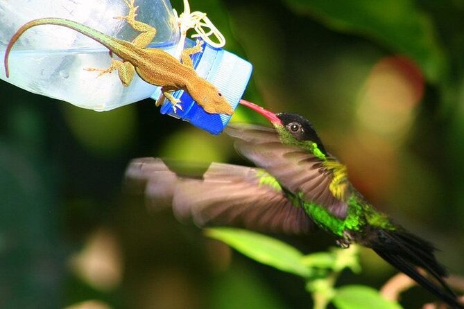 Rockland Bird Sanctuary Private Tour - Who This Tour Fits Best (And Who Should Rethink It)
