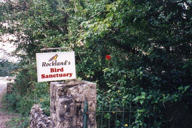 Rockland Bird Sanctuary Private Tour - Hotel Pickup and the Ride to Anchovy: Less Hassle, More Bird Time