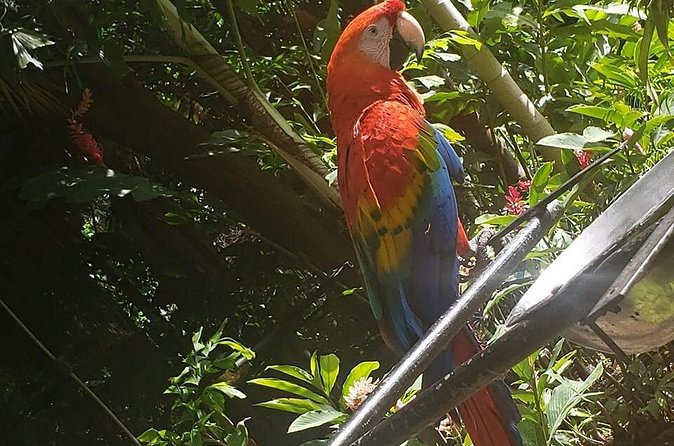 Rockland Bird Sanctuary Tour [Transportation] Hotel Pick-Up - Who this tour suits best (and who might want something else)