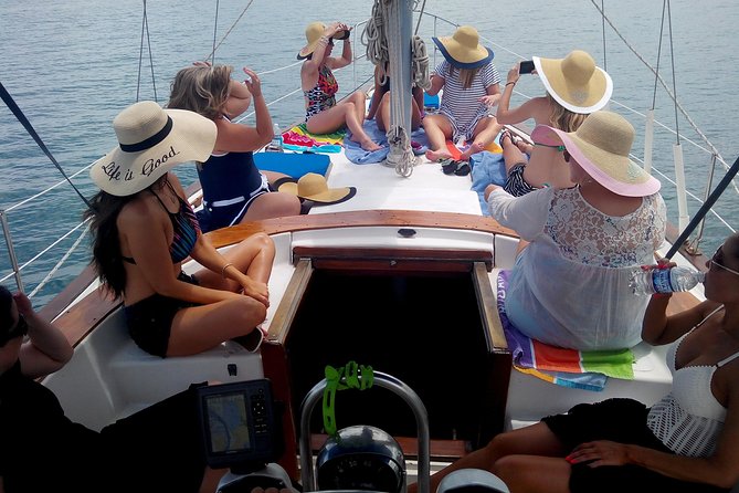 Sailing Adventure Cruise from Montego Bay - Wildlife spotting from the water: it is not only about snorkeling