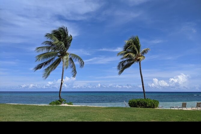 Sangster International Airport Private Transfer to Montego Bay - What Makes This Service Feel Trustworthy