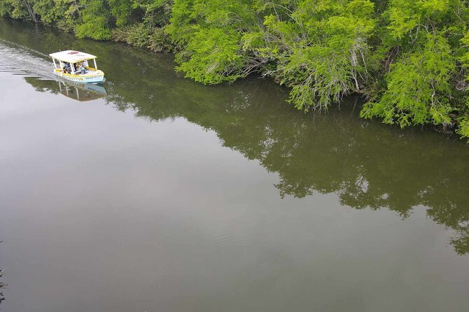 Scenic & Historical Nature Boat Safari Up the Negril River - The best part of a 2-hour cruise: it never drags