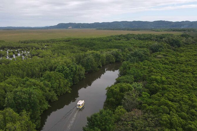 Scenic & Historical Nature Boat Safari Up the Negril River - What the experience feels like hour by hour