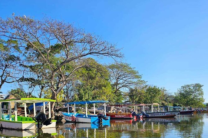 Scenic & Historical Nature Boat Safari Up the Negril River - Price and value: is $65 for 2 hours fair?