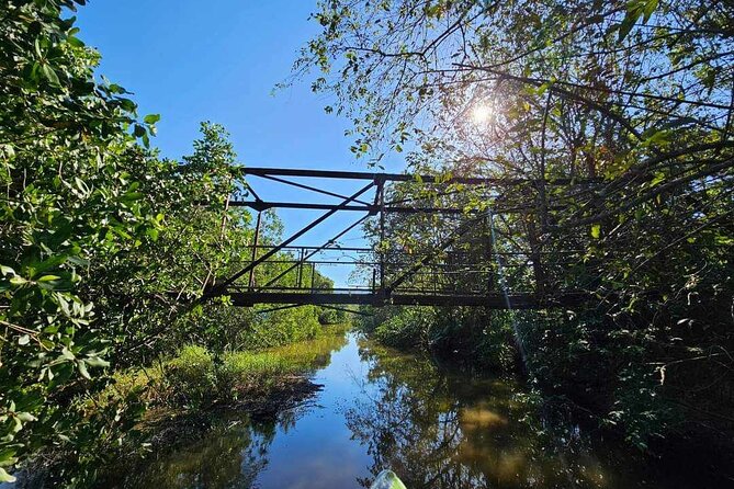 Scenic & Historical Nature Boat Safari Up the Negril River - Tips to get more from your safari (without over-planning)
