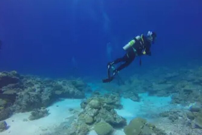 Scuba Diving and shopping on the Hipstrip. - Montego Bay’s blue water, corals, and fish, up close