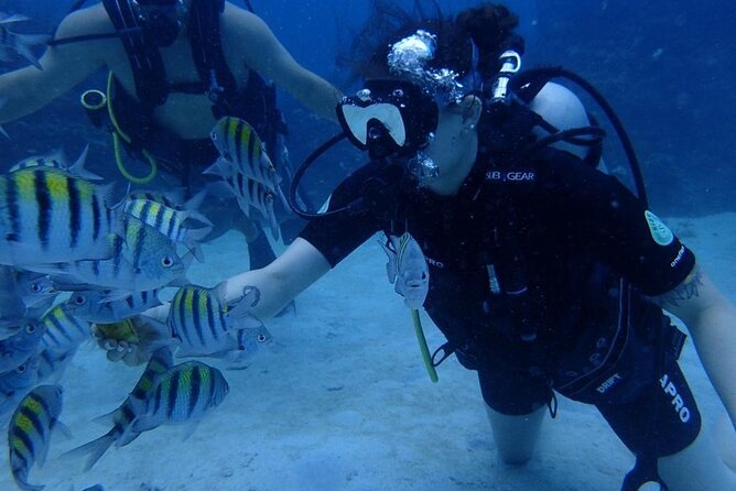 Scuba Diving and shopping on the Hipstrip. - In the open water: clear visibility and calm guidance