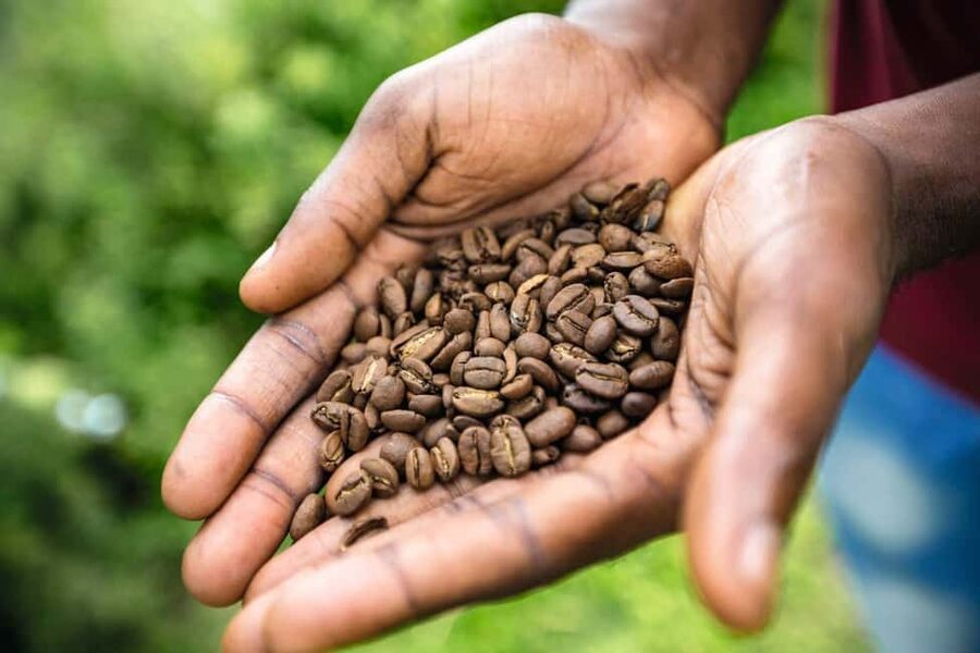 Shared/Private Full Day Blue Mountains Tour -Top Attractions - Craighton Estate and the Blue Mountain Coffee Tasting