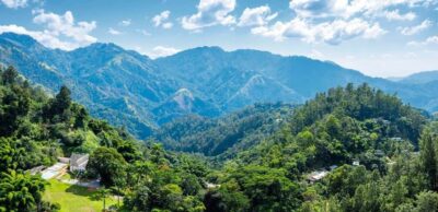 Shared/Private Full Day Blue Mountains Tour -Top Attractions