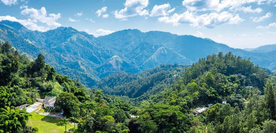 Shared/Private Full Day Blue Mountains Tour -Top Attractions - Blue Mountains First, With a Jamaican Lunch That Actually Matters