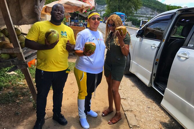 Sightseeing and Shopping Tour in Montego bay - Quick hits before you go