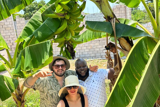 Sightseeing and Shopping Tour in Montego bay - Touring real neighborhoods, plus the city walk that adds flavor