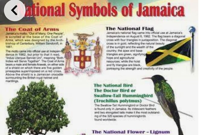 Sightseeing Tour in Ocho Rios - Pickup, Mobile Ticket, and Why the Schedule Flexibility Matters