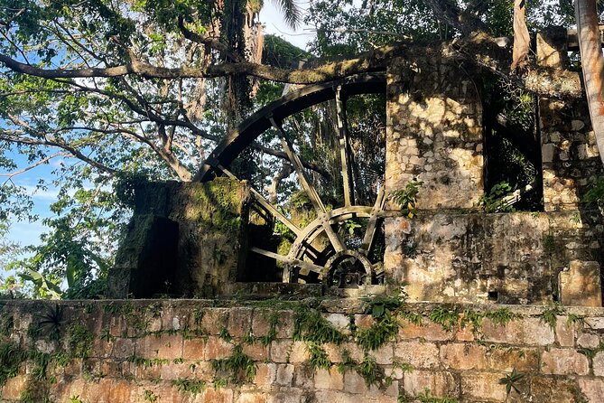 Sightseen tour and Souvenir shopping with private transportation in Montego Bay - Private Transportation and Comfort That Changes the Whole Day