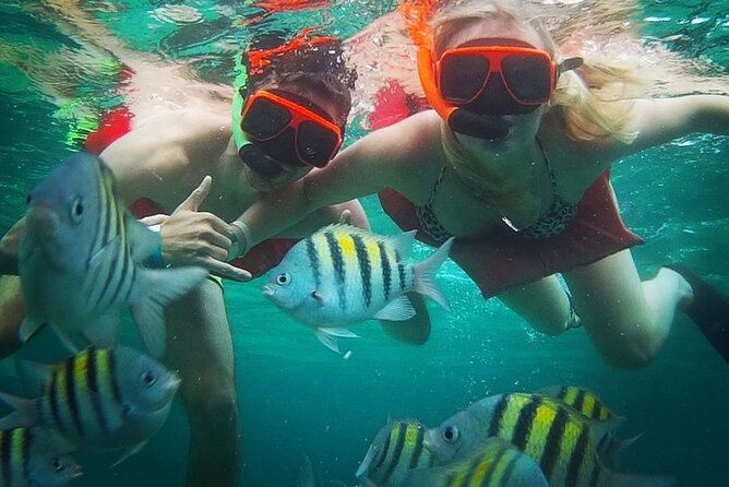 Snorkeling and Shopping in Montego Bay with Hotel pickup - How the Montego Bay hotel pickup sets the tone