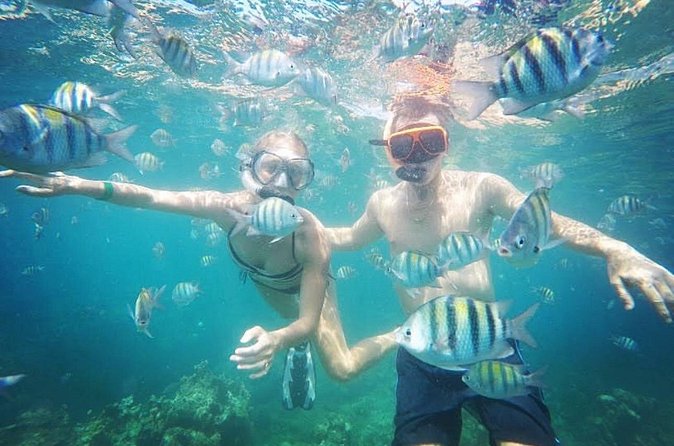 Snorkeling and Shopping in Montego Bay with Hotel pickup - Price and value: what $85 gets you, and what to watch