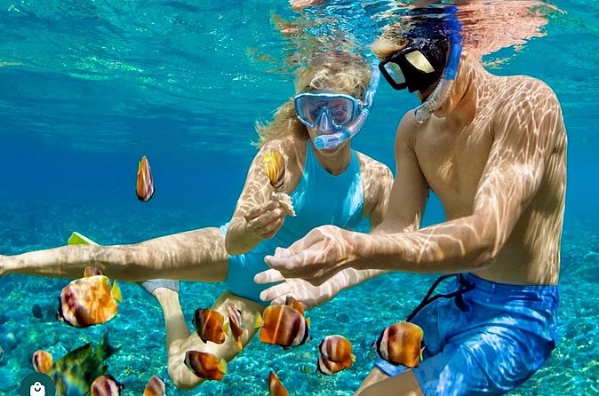 Snorkeling and Shopping in Montego Bay with Hotel pickup - Private tour, group dynamics, and who this fits best