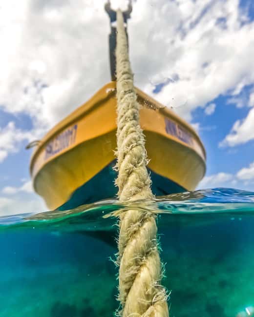 Snorkeling in Montego Bay with Transportation - Who this snorkeling setup suits best