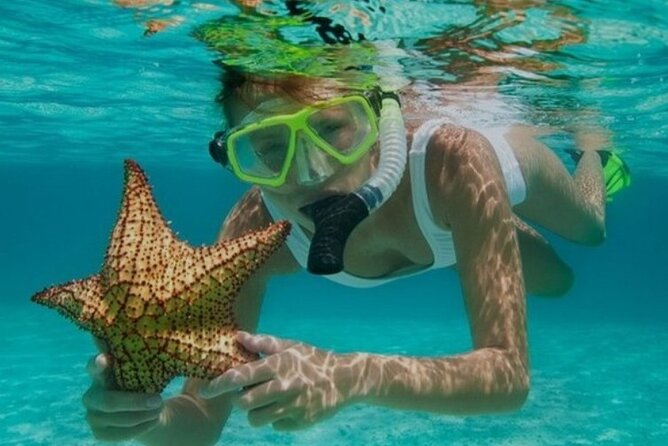 Snorkeling with Margaritaville and shops on Hipstrip activity - Key Highlights You Shouldn’t Miss