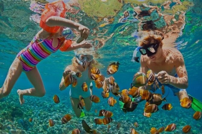 Snorkeling with Margaritaville and shops on Hipstrip activity - Snorkeling Setup and Boat Jump-Off: What You’ll Experience