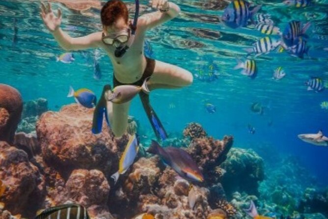Snorkeling with Margaritaville and shops on Hipstrip activity - Margaritaville Break on the Hipstrip: The Part After You’re Back on Land