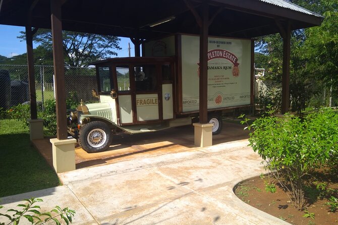 South Coast Cultural Tour History and Nature - Black River Safari: The Wildlife Ride That Adds Real Tension (In a Good Way)