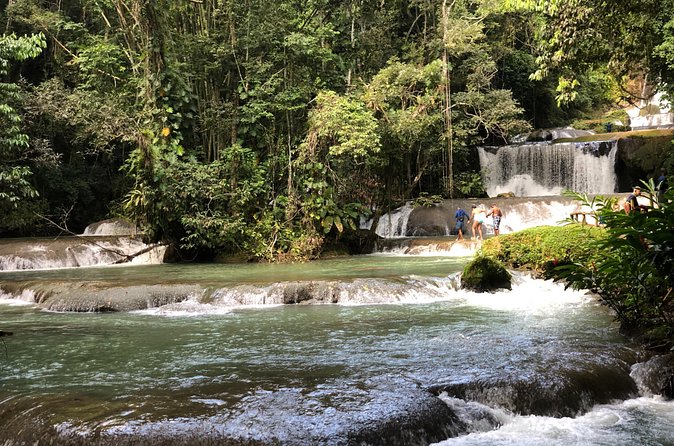 South Coast Jamaica YS Falls Tour - Arriving at YS Falls: Shuttle Up, Seven Cascades, and Your Pace