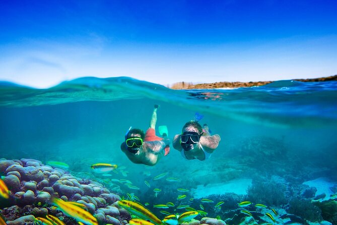 Sunset Catamaran cruise, Snorkeling and Rick's Cafe from Mobay - Why a shared sunset catamaran beats a charter from Montego Bay