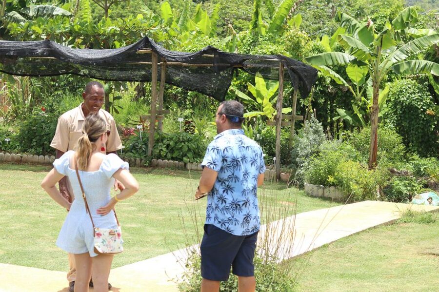 Taste of Jamaica Farm & Food Tour - Practical Tips to Get More from Your Lunch and Herb Shopping