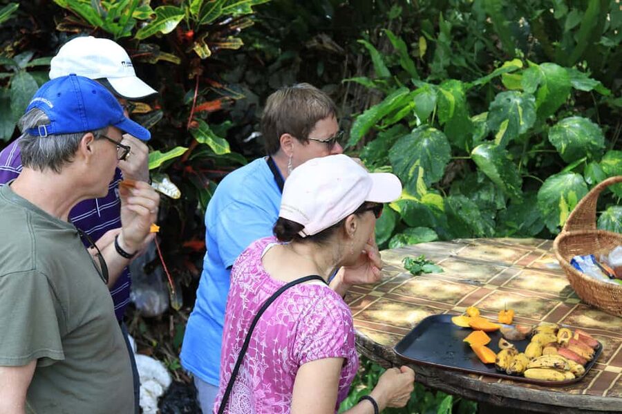 Taste of Jamaica Farm & Food Tour - Herbal Garden Walk: The Part That Makes This Tour Different