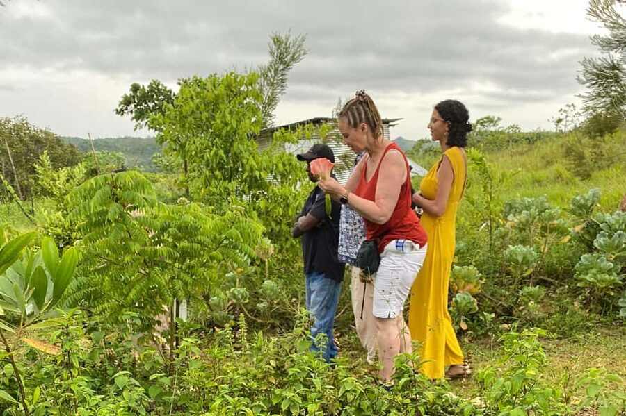 Taste of Jamaica Farm & Food Tour - From Coffee to Goats: The Farm Tour Portion You Should Not Skip