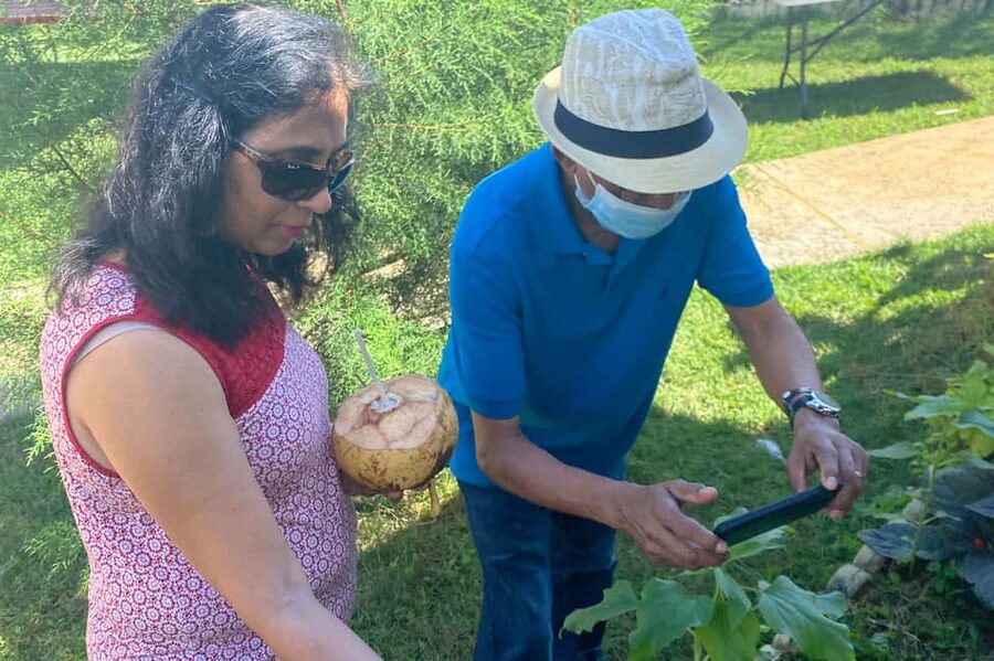 Taste of Jamaica Farm & Food Tour - Price and Value at $98 Per Person