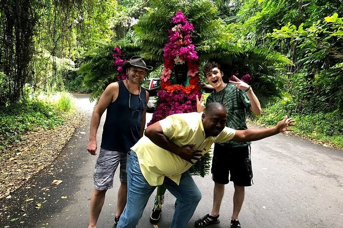 Taste of Jamaica Food Tour from Ocho Rios - Coastline ridge photo stops: turning the drive into a viewpoint break